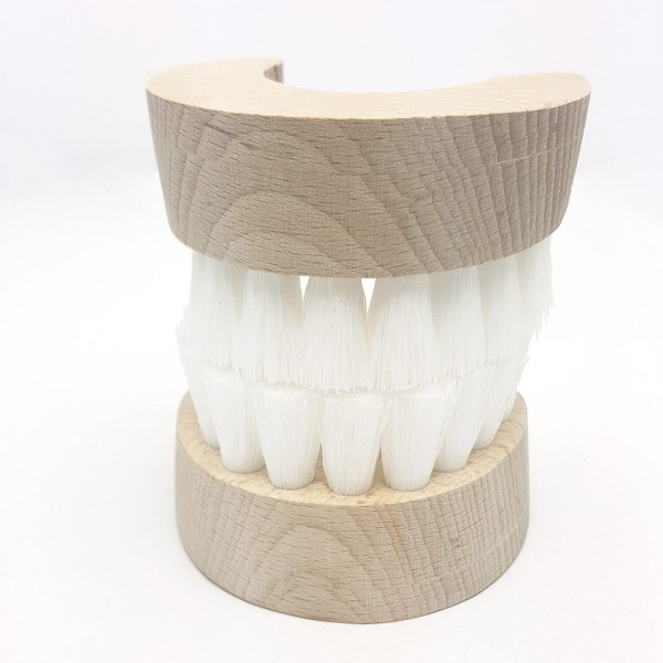 Gebiss mit weißem Zähne